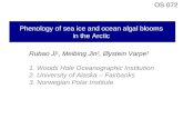 Phenology of sea ice and ocean algal blooms  in the Arctic