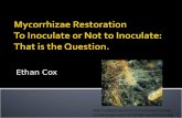 Mycorrhizae Restoration To Inoculate  or Not  to Inoculate:  That is the Question.