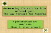Generating electricity from natural gas: The way forward for Nigeria