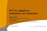ICT & algebra – oefenen en toetsen