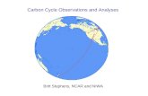 Carbon Cycle Observations and Analyses