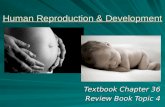 Human Reproduction & Development