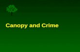 Canopy and Crime