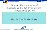 Human Resources and Mobility in the 6th Framework Programme (FP6)