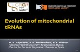 Evolution of mitochondrial  tRNAs