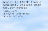Report to CAMTE from a community college math faculty member