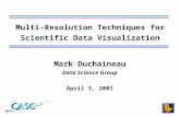 Mark Duchaineau Data Science Group April 3, 2001