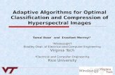Adaptive Algorithms for Optimal Classification and Compression of Hyperspectral Images