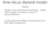 One-locus diploid model