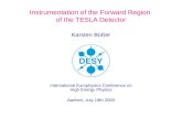Instrumentation of the Forward Region  of the TESLA Detector