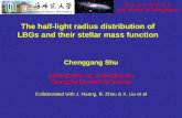 The half-light radius distribution of LBGs and their stellar mass function