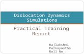 Dislocation Dynamics Simulations