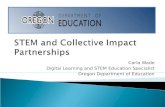 STEM and Collective Impact Partnerships