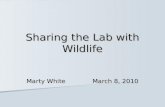 Sharing the Lab with Wildlife