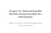 Project 11: Determining the Intrinsic Dimensionality of a Distribution