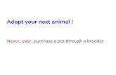Adopt your next animal !  Never , ever , purchase a pet through a breeder