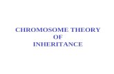 CHROMOSOME THEORY OF INHERITANCE