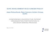 ECPC INVOLVEMENT IN EU CANCER POLICY Jana Pelouchová, Rare Cancers Action Group, ECPC