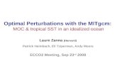 Optimal Perturbations with the MITgcm:  MOC & tropical SST in an idealized ocean
