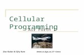 Cellular Programming