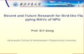 Recent and Future Research for Bird-like Flapping MAVs of NPU