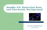 Double NS: Detection Rate  and Stochastic Background