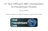 4 th  Year  MPharm  SRP: Introduction to Pseudotype Viruses