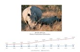 SA Rhino Poaching Incidents  2000 – 2010 (August)