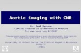 Aortic imaging with CMR