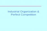 Industrial Organization & Perfect Competition