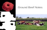 Ground Beef Notes