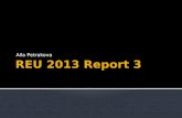 REU 2013 Report 3