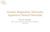 Genetic Regulatory Networks Applied to Neural Networks