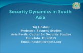 Security Dynamics in South Asia