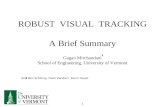 ROBUST  VISUAL  TRACKING A Brief Summary