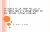 Pathogen Associated Molecular Patterns and its involvement in the Innate Immune Response