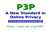 P3P A New Standard in Online Privacy