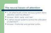 The neural bases of attention