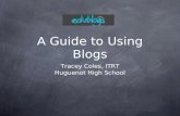 A Guide to Using Blogs