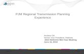 PJM Regional Transmission Planning Experience