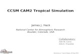 CCSM CAM2 Tropical Simulation