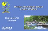Total Maximum Daily LOAD (TMDL)