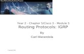 Year 2 - Chapter 5/Cisco 3 - Module 5 Routing Protocols: IGRP