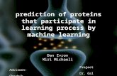 prediction of proteins that participate in learning process by machine learning