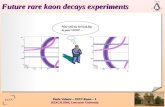 Future rare kaon decays experiments