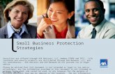 Small Business Protection Strategies