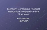 Mercury-Containing Product Reduction Programs in the Northeast