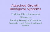 Attached Growth Biological Systems