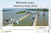 RIS best cases  Mantua Italy 2012