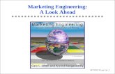Marketing Engineering: A Look Ahead